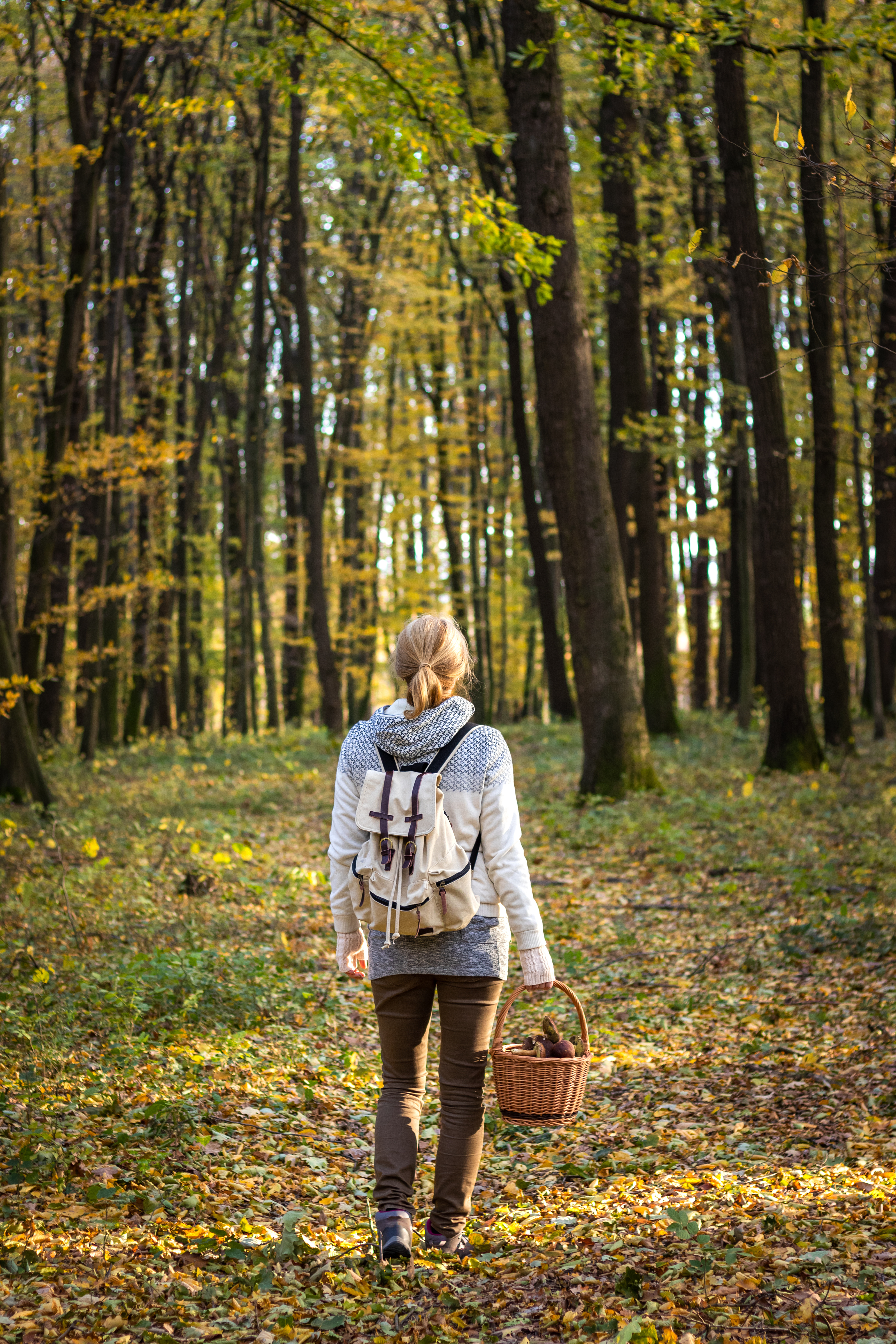 Woman walking through an autumn forest with a foraging basket